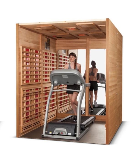 health mate sportsauna